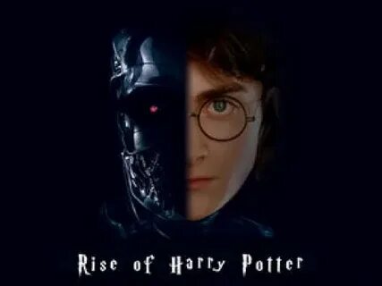 The rise of the potter