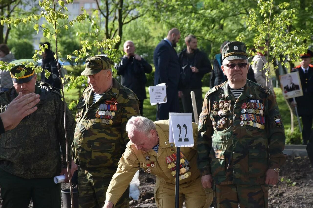 Герои России. Военно патриотический сквер во Владимире. Сквер памяти героев. Березка 26