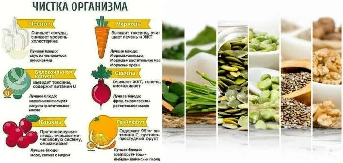 Чудо диета лесенка. Программы по очистке организма. Детокс для похудения меню. Диета от токсинов. Детокс меню.