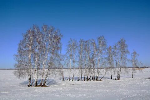 Погода дубровное курганская область