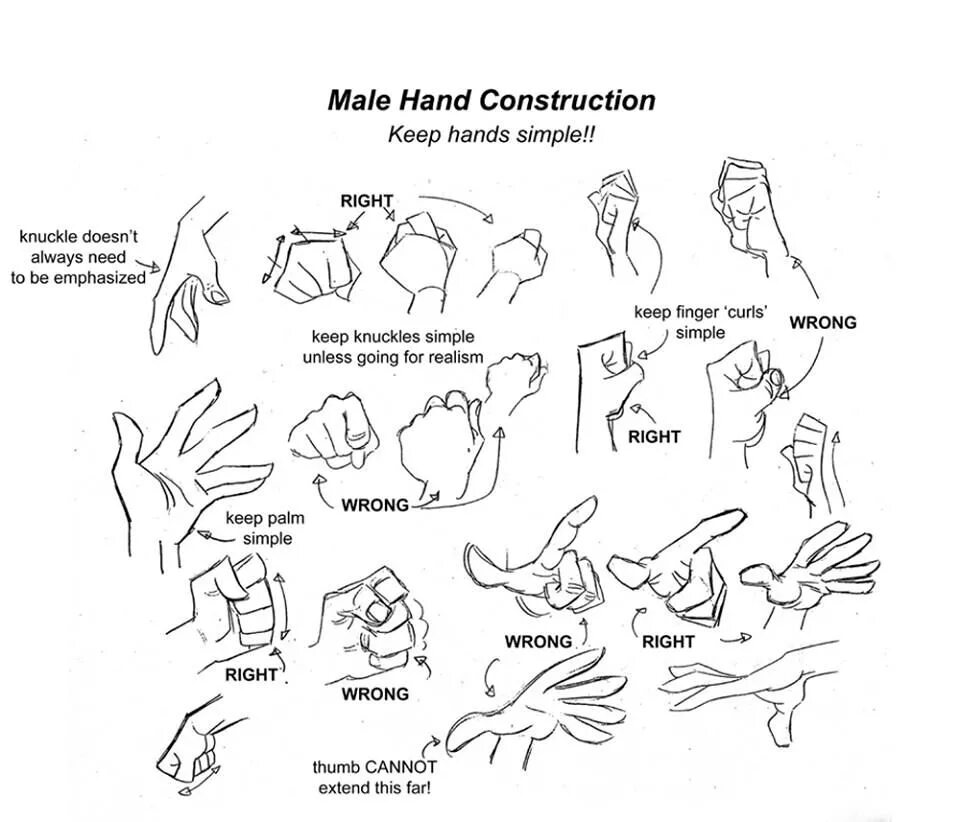 Simple right. Hands simple. simple hand anatomy. simple reference. simple hand art reference.