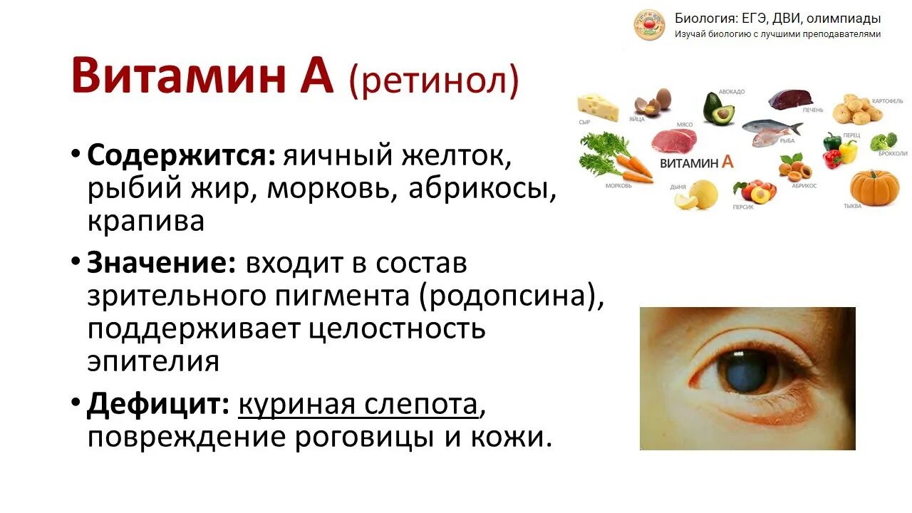 Вирусные заболевания и бактериальные заболевания таблица. Огэ заболевания человека. Опорный конспект бактерии. Вирусные и бактериальные заболевания таблица. Таблицы для егэ по биологии.