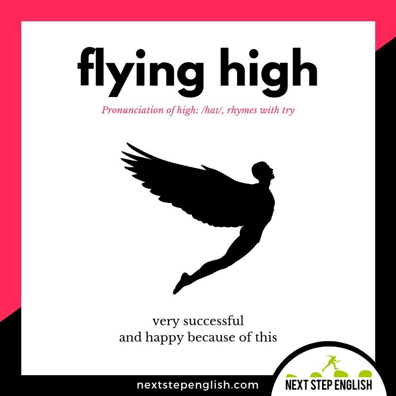 Flying произношение. Flying High idiom. Idioms with a Fly. Идиома с Fly. Phrase of the Day.