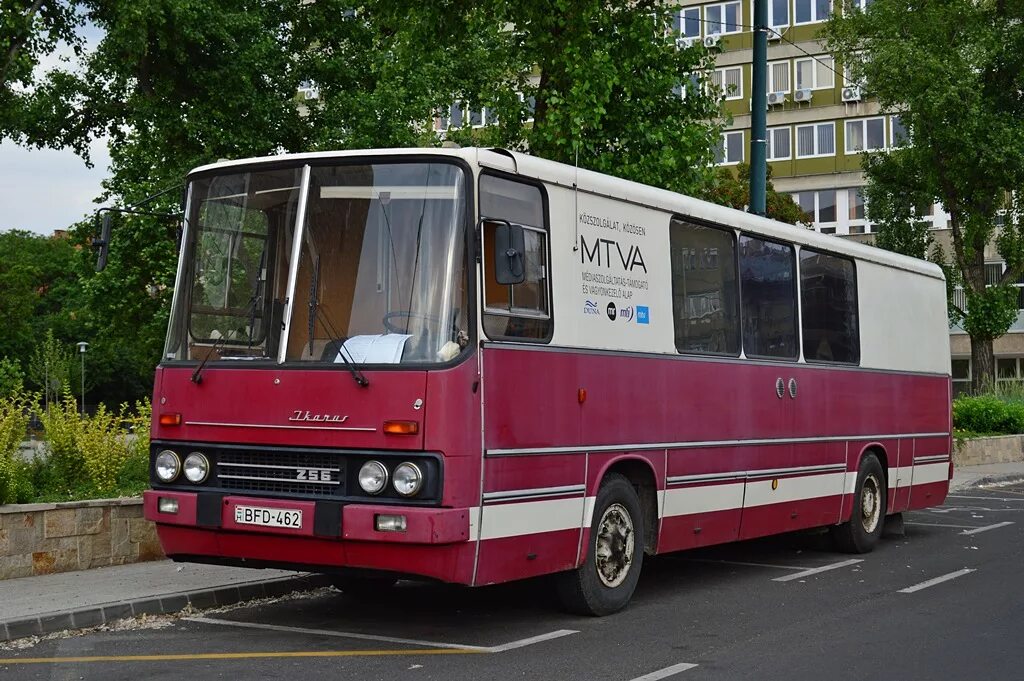 Икарус 260. Завод икарус в венгрии. Ikarus 256 автобусы венгрии. Hungarian bus. Автобусы в венгрии.