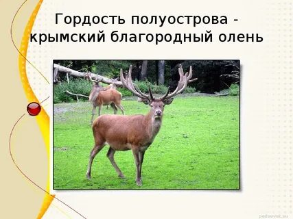 Благородного проекта