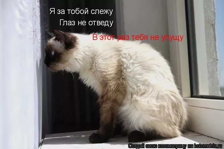 Прямо глаз не отвести