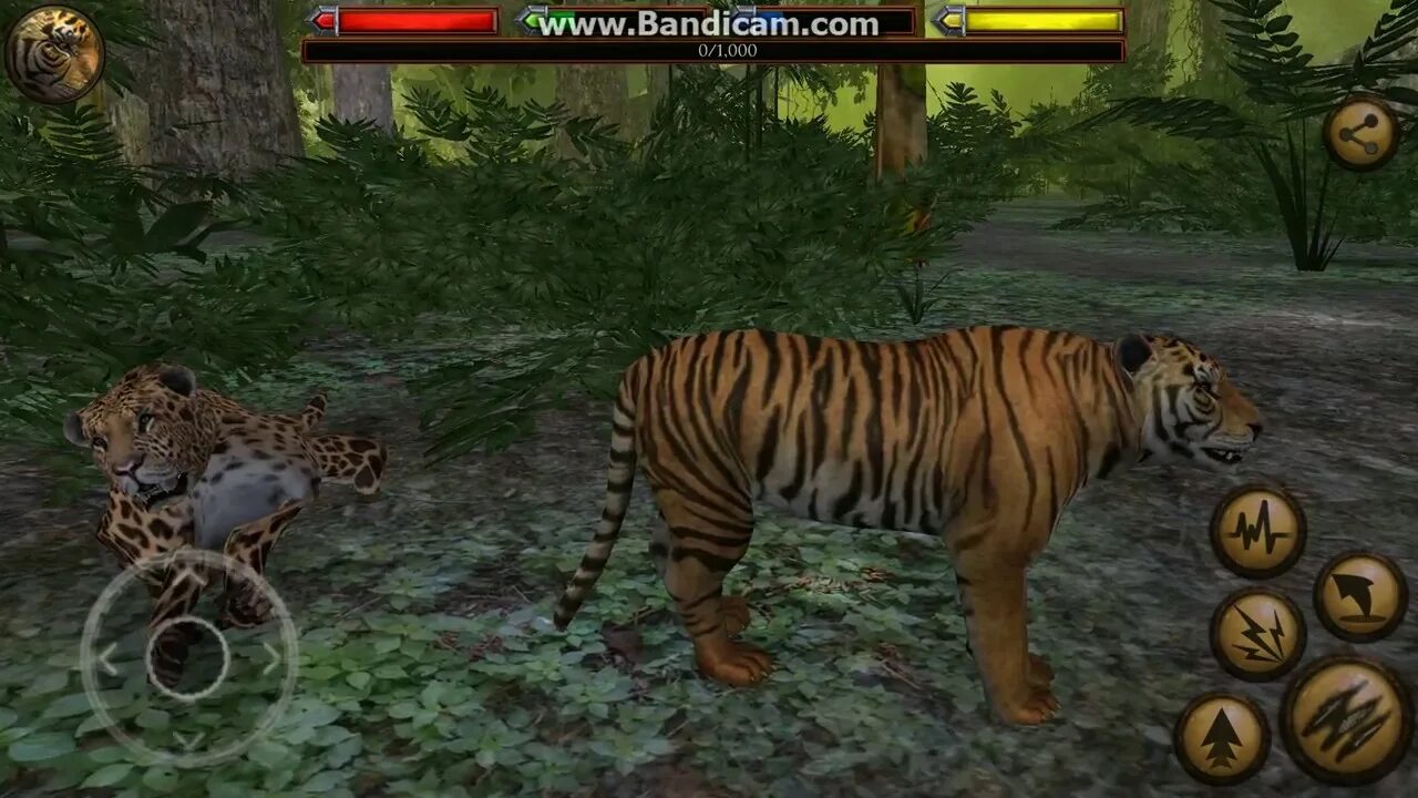Суматранский тигр симулятор. Тигр управляет тигром. Ultimate tiger simulator. Симулятор тигра 2 играть. Ультимейт тигр симулятор 2.