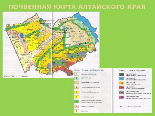 Почвенная карта школьного атласа дает. Карта почв Алтайского края с районами. Карта почв Алтайского края. Почвенная карта Алтайского края. Почвенные зоны Алтайского края.