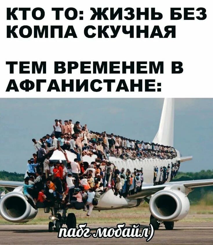 Вочи ноу бау роу лин дау. Песня бау роу. Вочи ноу бау роу мем. Текст вочи ноу бау. Bau bau песня.