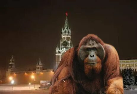 Бата 2024
