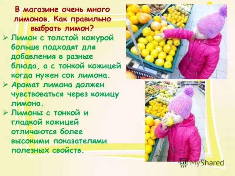 Полезные свойства лимона кратко. Выбери имя лимону. Выбери имя лимону. Выбери имя лимону. Выбери имя лимону.