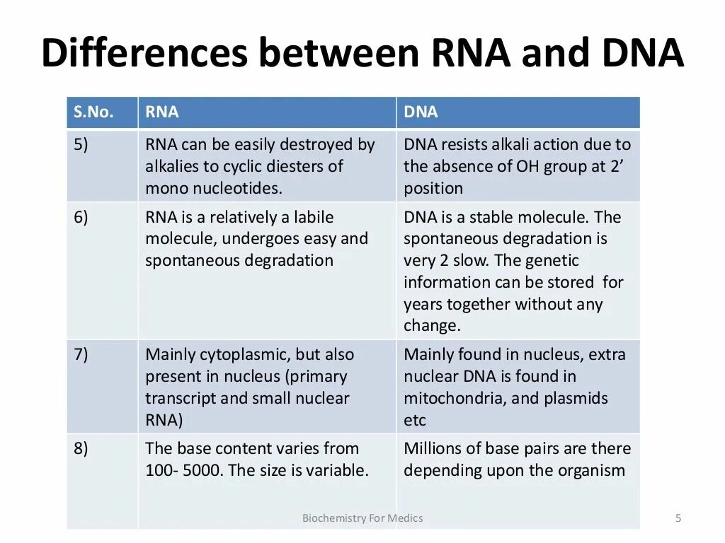 DNA and RNA differences. Difference between DNA and RNA. What is the difference between DNA and RNA. Similarities of DNA and RNA.