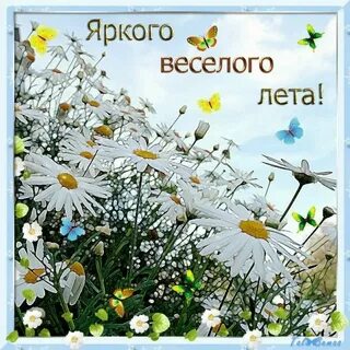Открытка теплого лета