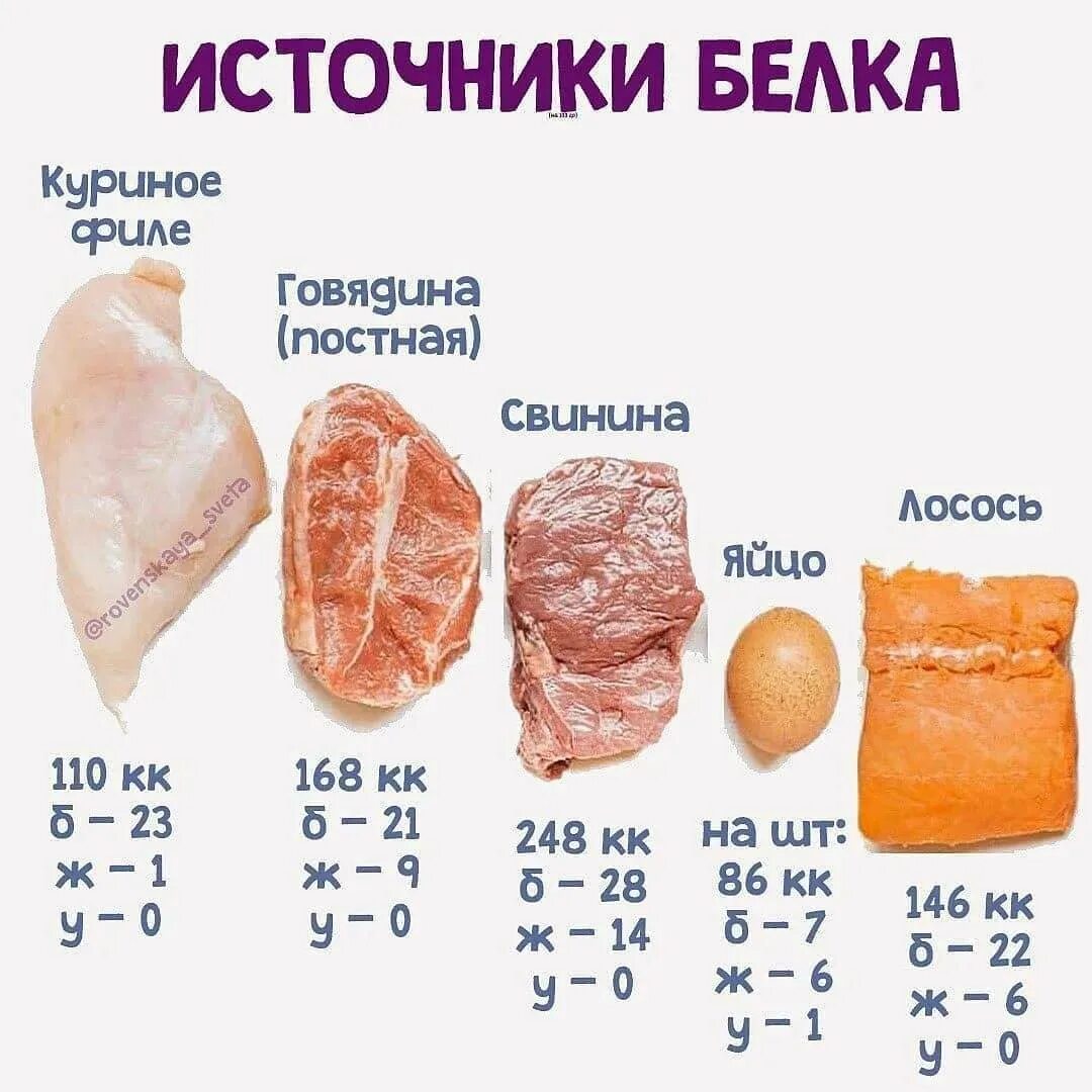 Белок на 100 грамм. Соотношение белка и альбумина. Где содержатся белки. Белковые продукты для детей. 40 гр белка.