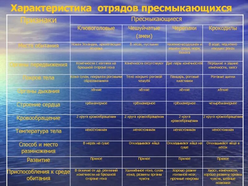 Структура среды обитания