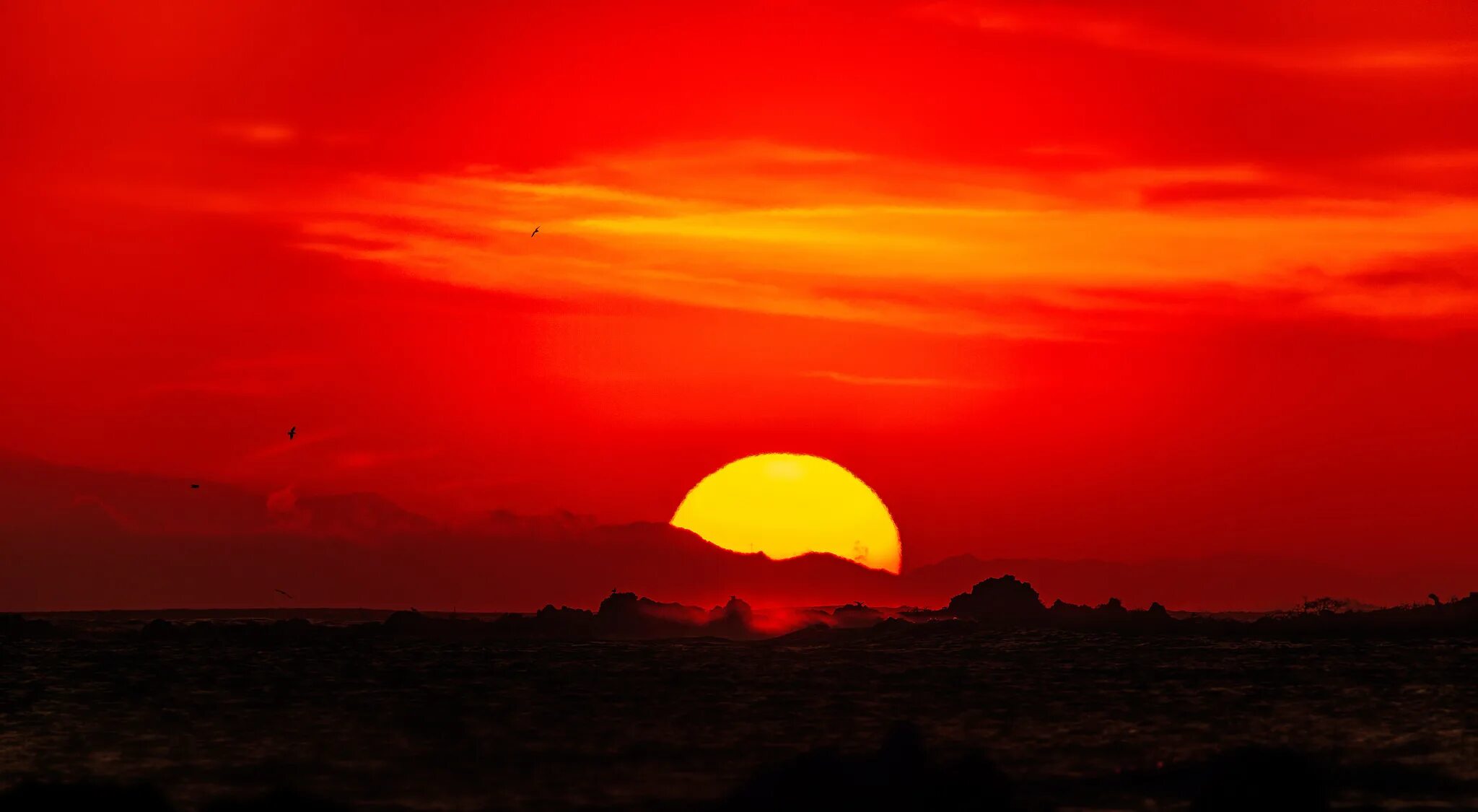 Красным стало небо солнце. Красный закат. Красное солнце на закате. Багровое солнце. Багровый закат.