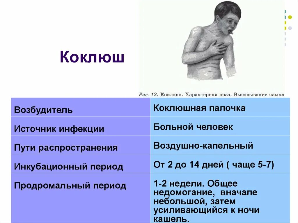 Коклюш возбудитель симптомы профилактика. Источники заражения, пути передачи, патогенез коклюша. Коклюш источник инфекции. Коклюш пути передачи и источники.