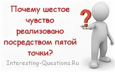 Почему в 6 классе 2 истории
