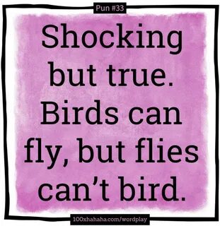 A bird can t