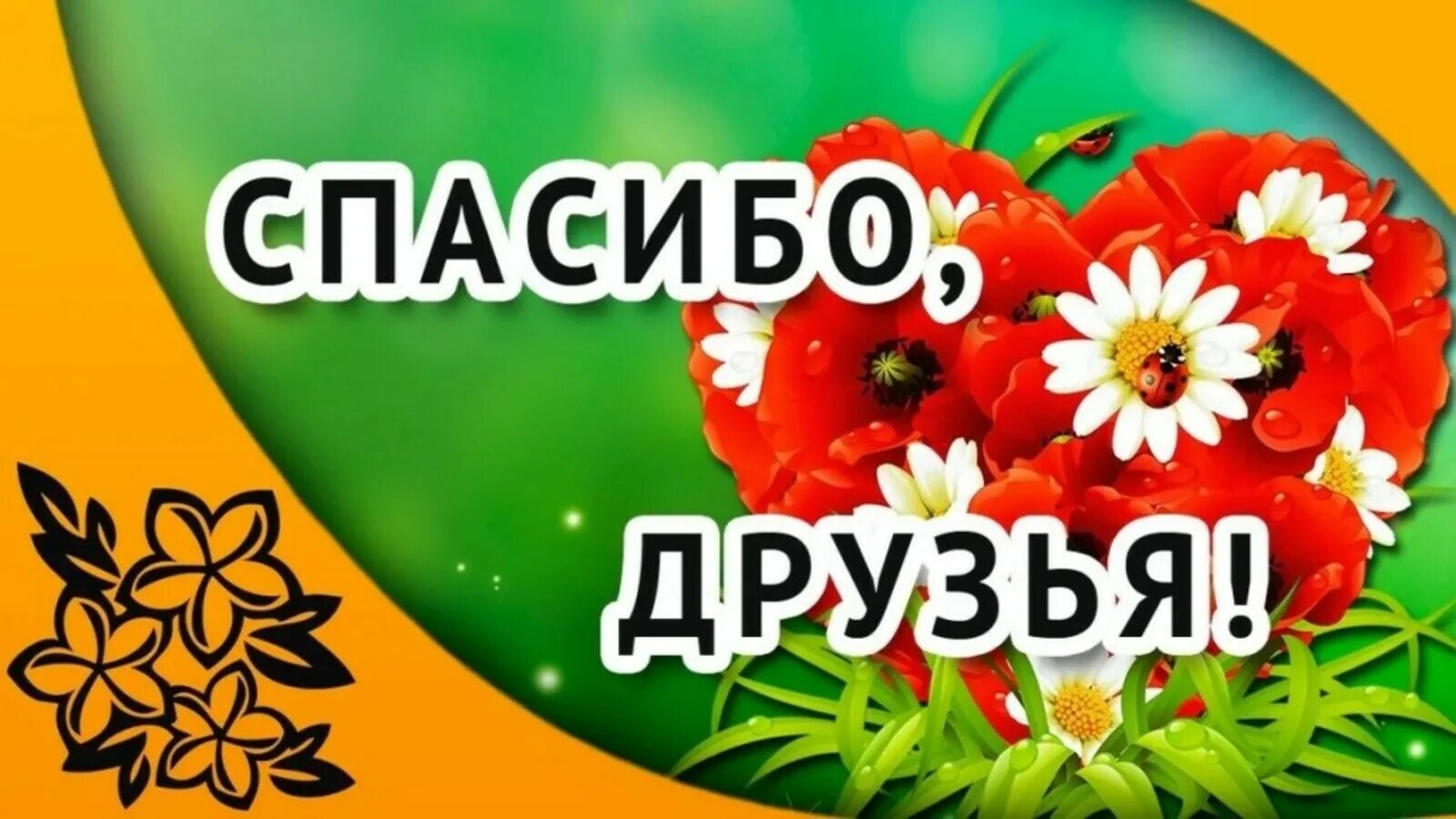 Благодарность за поздравления прикольные. Спасибо друг. Спасибо за поздравления картинки. Всем спасибо. Открытки спасибо большое за поздравление.