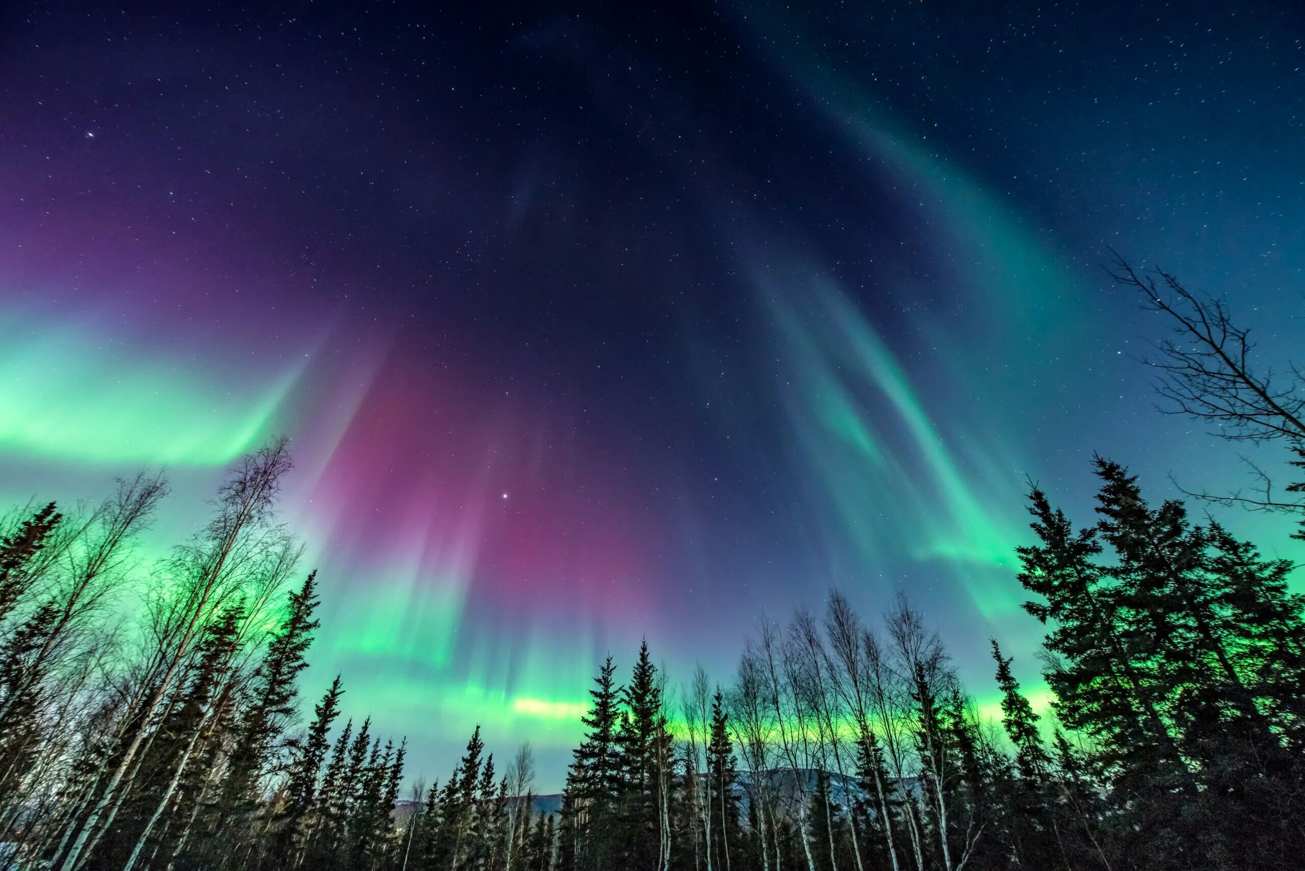 Aurora Borealis Северное сияние. Аляска Северное сияние. Полярное сияние на Аляске. Северное сияние на Камчатке.