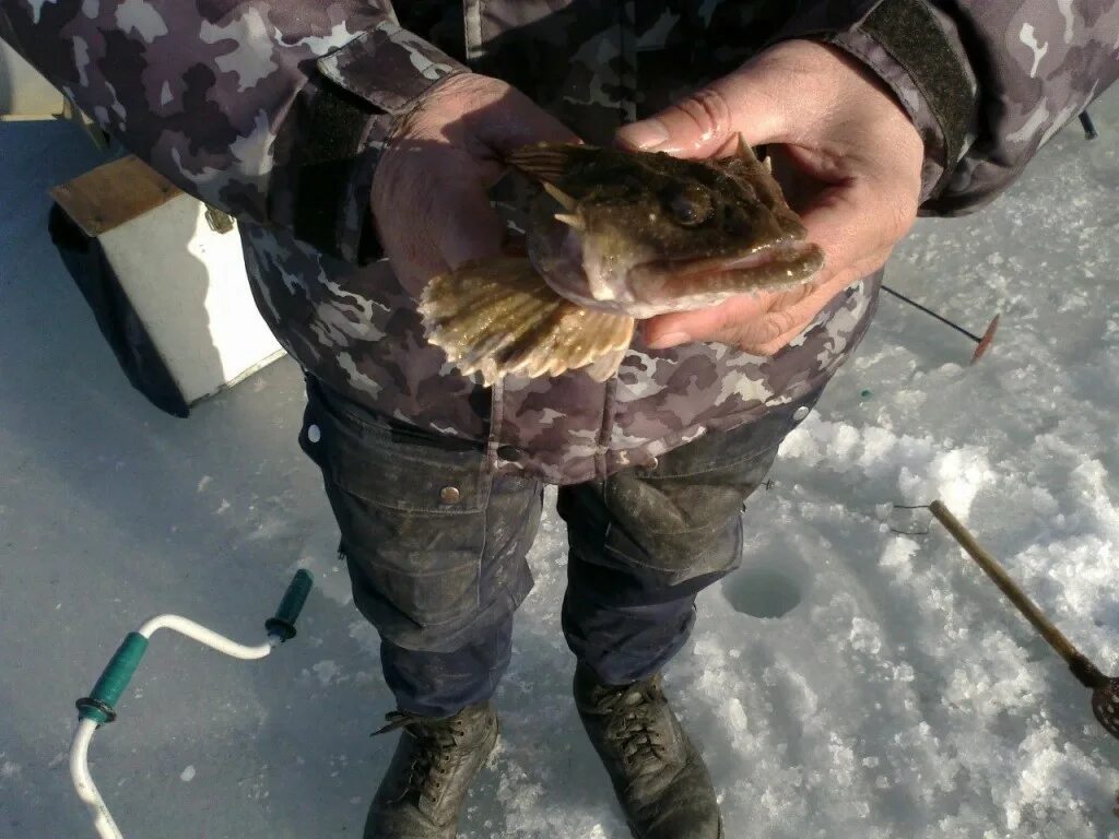 Ловля бычка на спиннинг. Поймать бычка. Снасть на черноморского бычка. Ловля бычков. Снасть на бычка на азовском море.