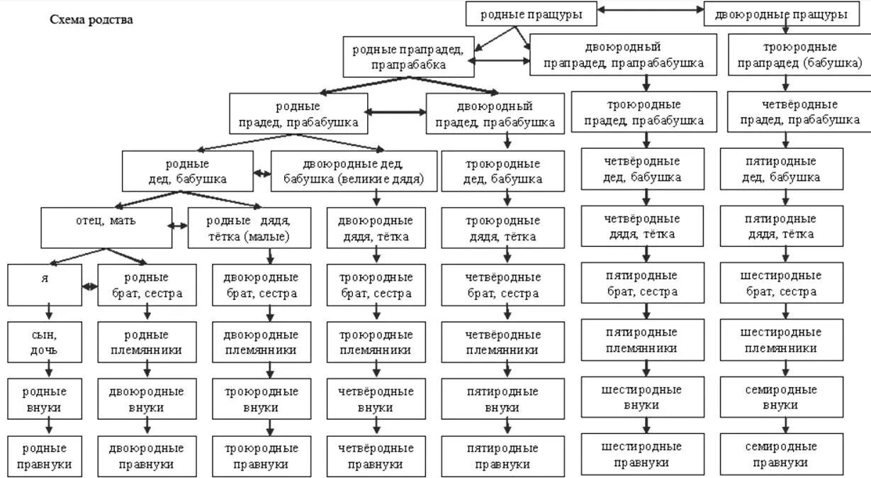 Схема родственных связей двоюродных сестер. Схема родства кто кому кем приходится. Схема родства двоюродные троюродные. Родственная схема кто кому приходится. Сын дочки дочки тети