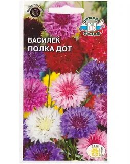 Василек дот