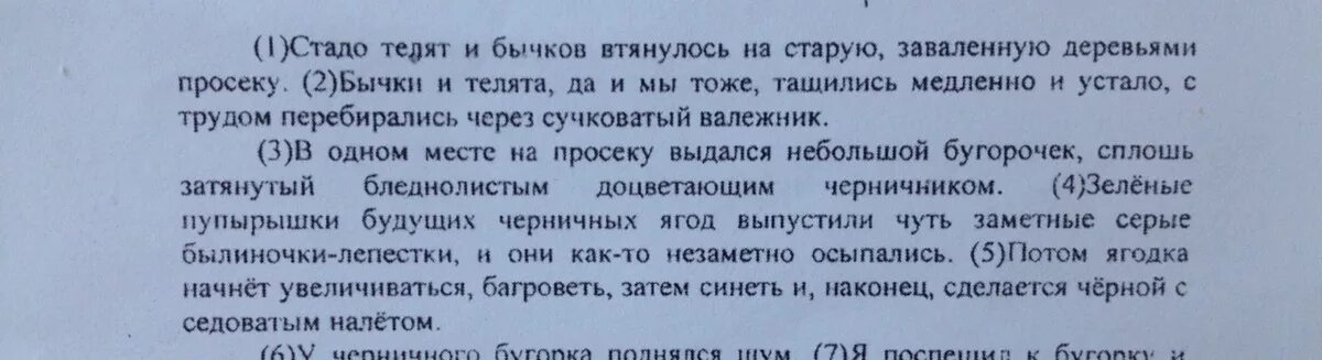 Потом ягодка начнет увеличиваться багроветь затем синеть. Лабораторная работа штриховое раздражение кожи по биологии 8 класс. В одном месте на просеку. Стадо телят и Бычков втянулось на старую. Бычки и телята да и мы тоже тащились медленно.