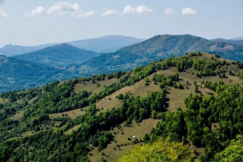 Дубовая гора