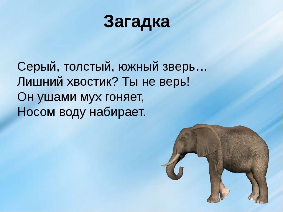 Загадки животные для детей 3 4 лет. Загадки о животных. Сложные загадки с ответами про животных. Загадки про животных 2 класс. Загадки о животных для детей 1 класса.