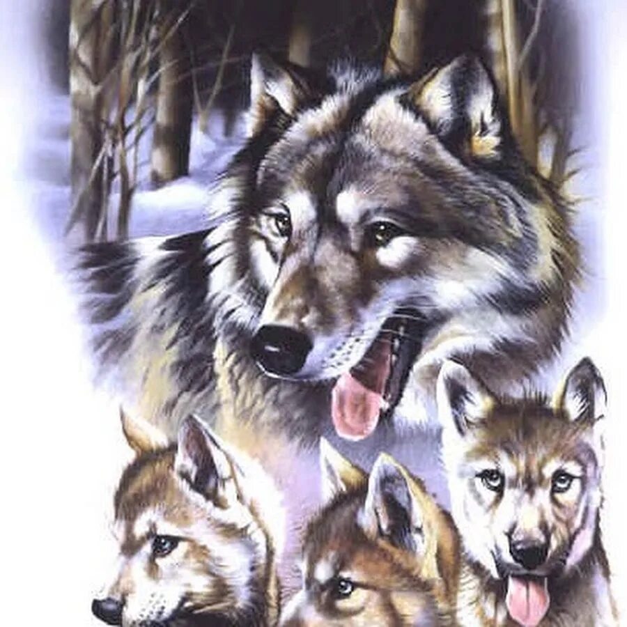 тату волк волчица и волчонок. волк с волчатами. иван крылов — волк и волчонок. волк и волчица. таты волк волчонок волчица.