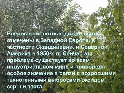 К чему приводит кислотный дождь