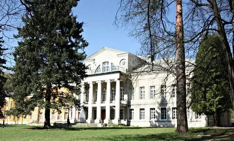 Гимназия суханово