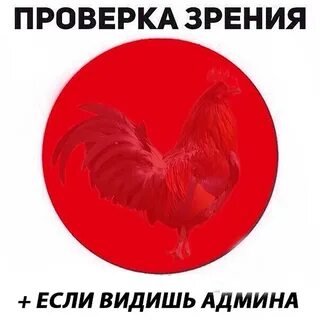 Оскорбления никиты