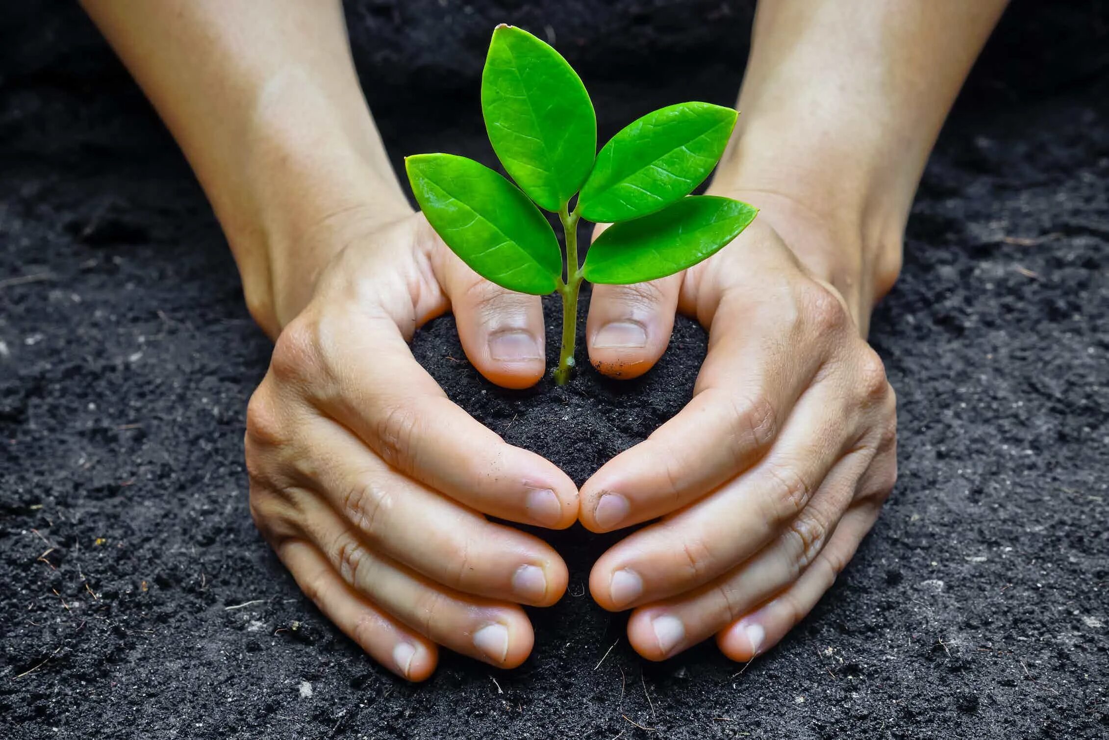 Caring environment