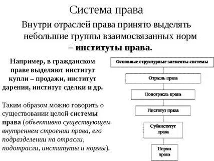 Институты системы законодательства