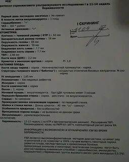 Первый срок узи при беременности