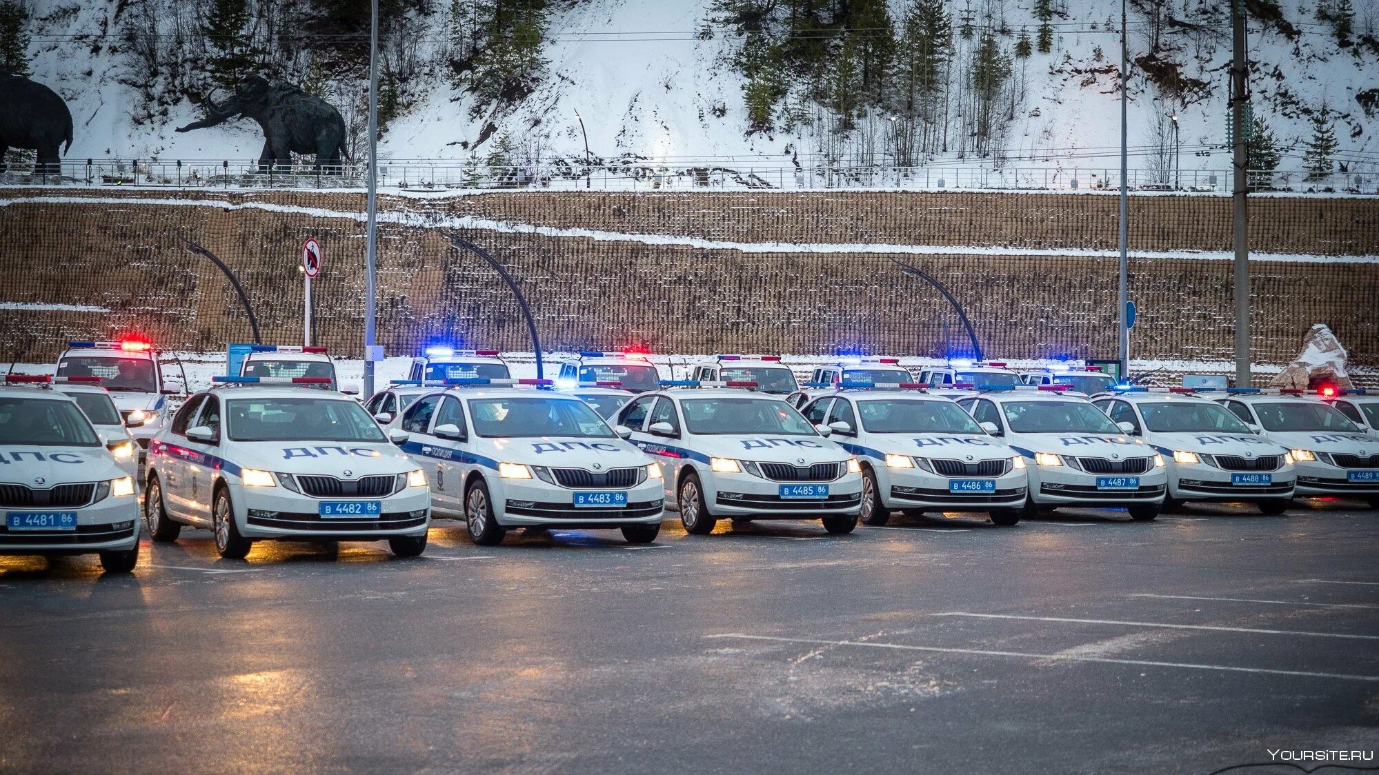 Советский хмао машина. Автомобиль ДПС. Много полицейских машин. Много машин ДПС. Много машин полиции.