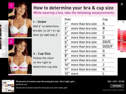 Bra size