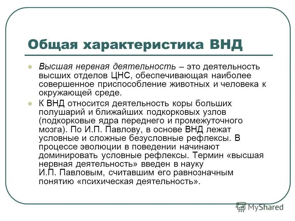 Что обеспечивает высшую нервную деятельность человека. К высшей нервной деятельности относят. высшая нервная деятельность у человека обеспечивает. отделы внд. эссе особенности высшей нервной деятельности.