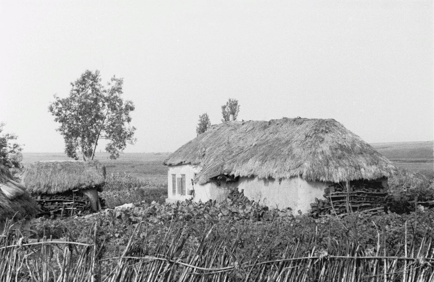 Хутор история названия. 1942. Белгородская деревня на снимках Франца Грассера. Хутора Белгородской области 19 век. Хутор крестьянский Воронежская область. Хутор в России 20 века.