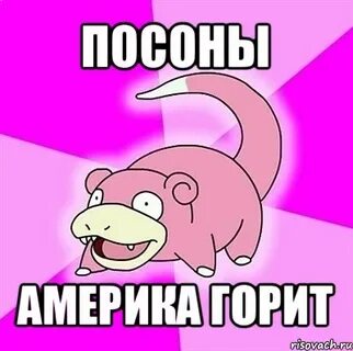 Когда выйдет чучука