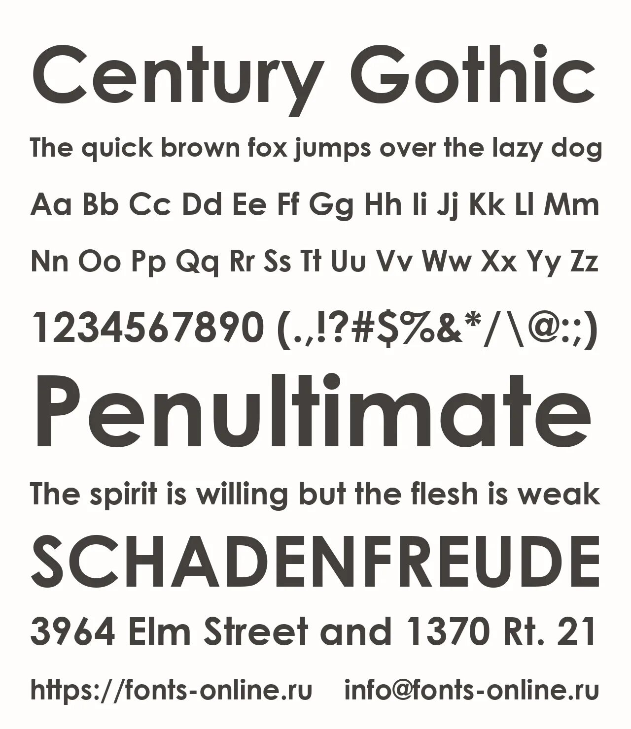 Шрифт сенчури готик. Центури шрифт. Шрифт central gothic. Шрифт central gothic. Шрифт сенчури готик.