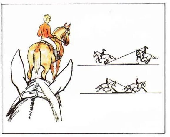 Гонит всадник коня держится за поводья смотрит. Верховая езда для начинающих теория. Техника безопасности конный спорт. Техника безопасности с лошадью. Упражнения на лошади.