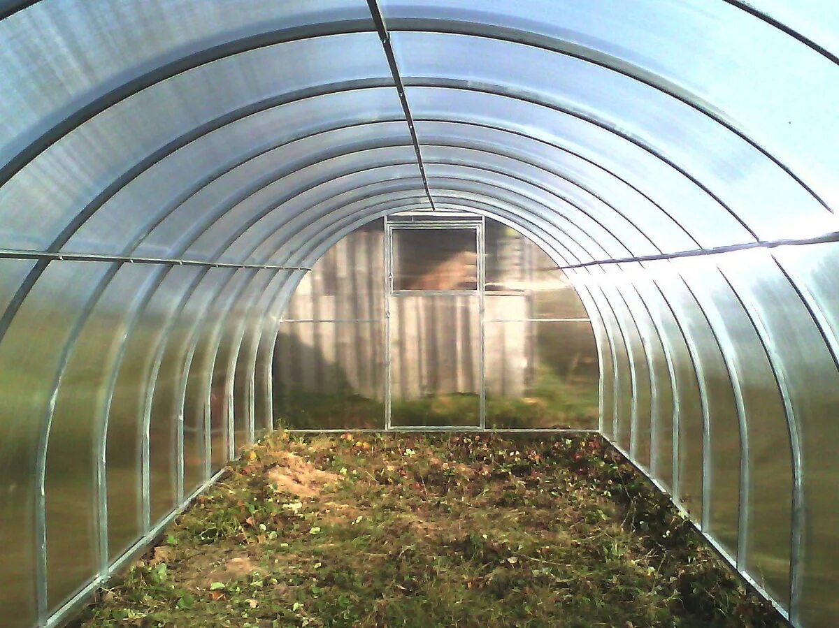 теплица удачная. теплица сказка 2*4. теплица капелька две дуги. теплица оцинкованная. теплицы во владимире от производителя недорого.