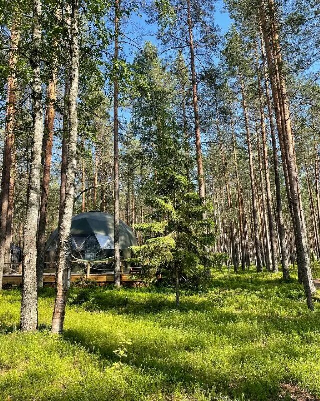 глэмпинг калевала вуокса. Forest lake глэмпинг спб. шанти домики в ленинградской области. глэмпинг карелия лаго ладога. хюгге кэмп карелия.