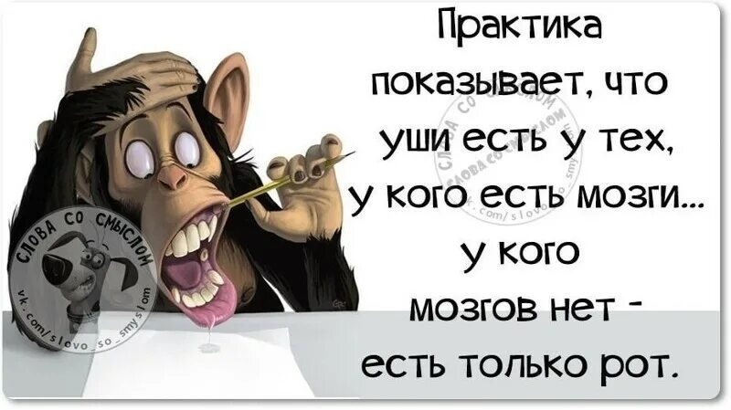 Практика цитаты. Уши есть у кого есть мозги. практика показывает у кого есть уши. практика показывает что уши есть у тех у кого есть мозги. картинки уши есть у кого есть мозги.