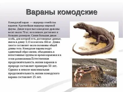 Сколько живут неволе