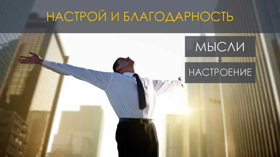 Философский настрой. Настрой. Благодарный настрой. Мысли про благодарность. Мысли про настрой.